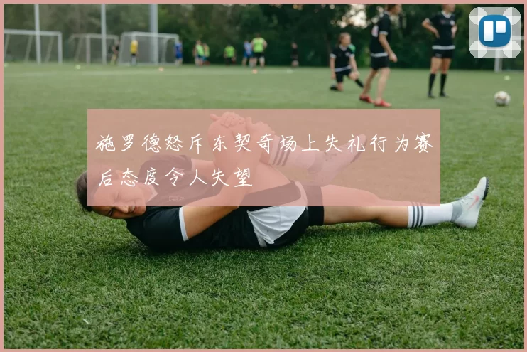 施罗德怒斥东契奇场上失礼行为赛后态度令人失望