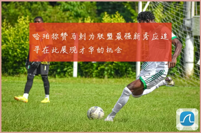 哈珀称赞马刺为联盟最强新秀应追寻在此展现才华的机会